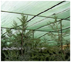 Agriculture Shade Net